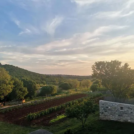 Casa Zonti Διαμέρισμα *